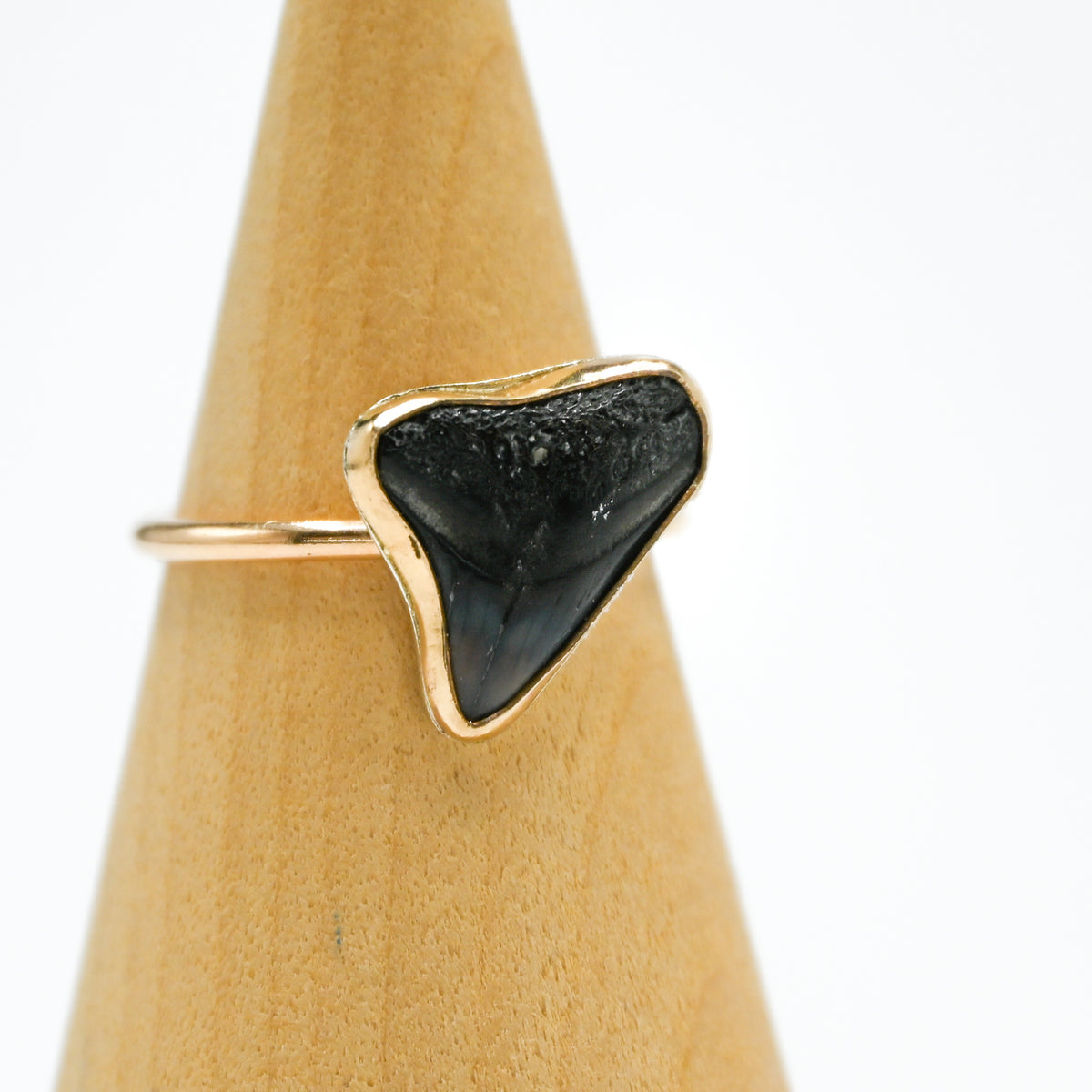 Gold fill fossilized shark tooth size 8.5