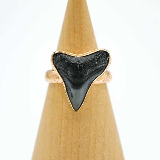 Gold fill fossilized shark tooth size 9