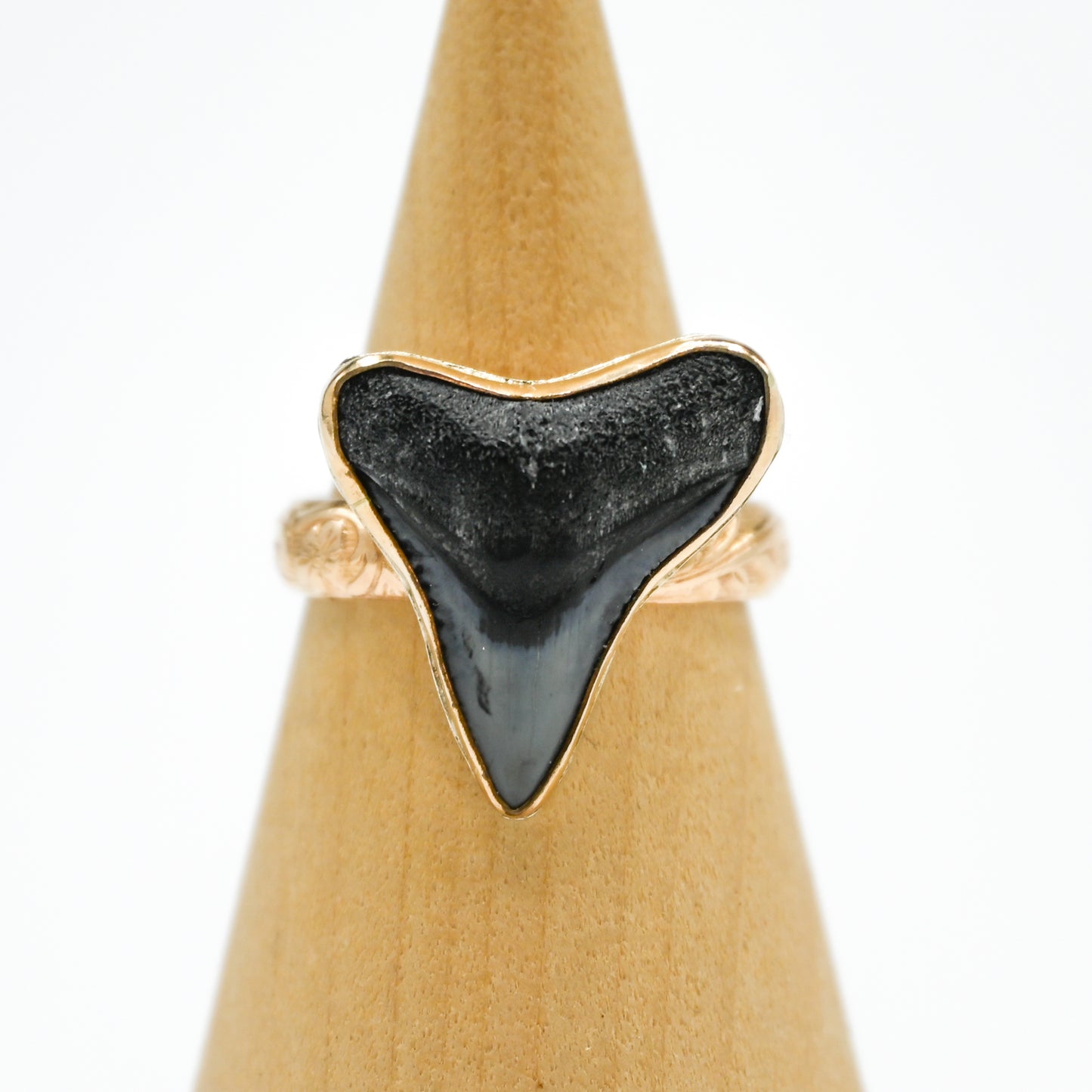 Gold fill fossilized shark tooth size 9