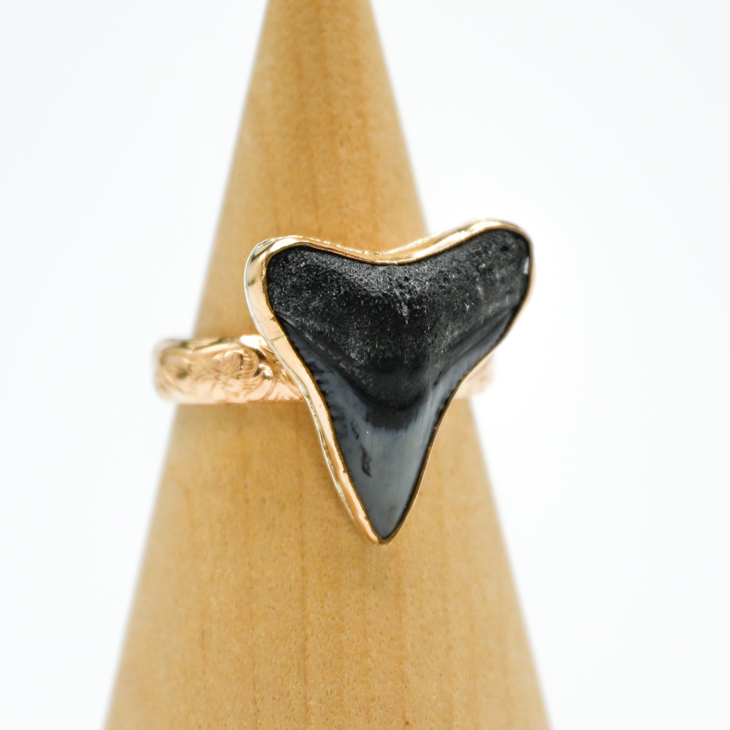 Gold fill fossilized shark tooth size 9