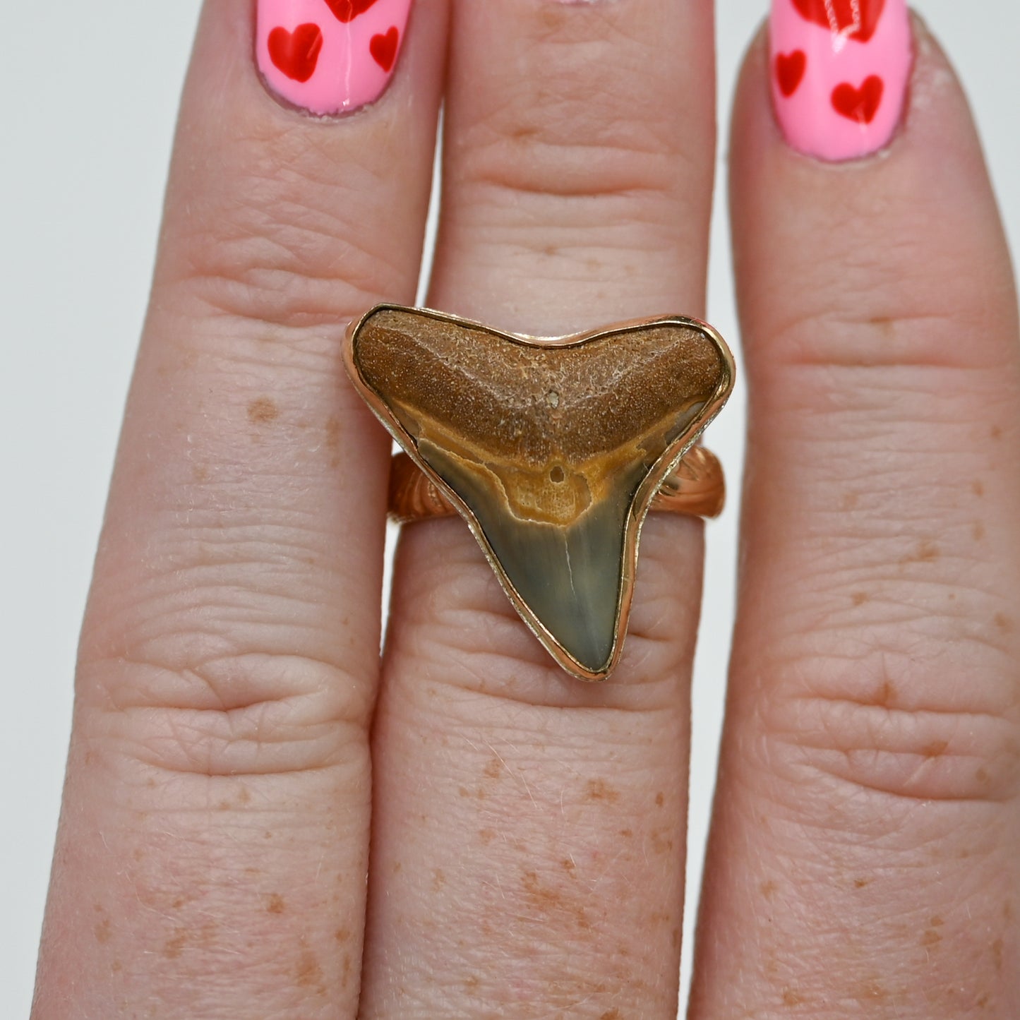 Gold fill xxl fossilized shark tooth size 7