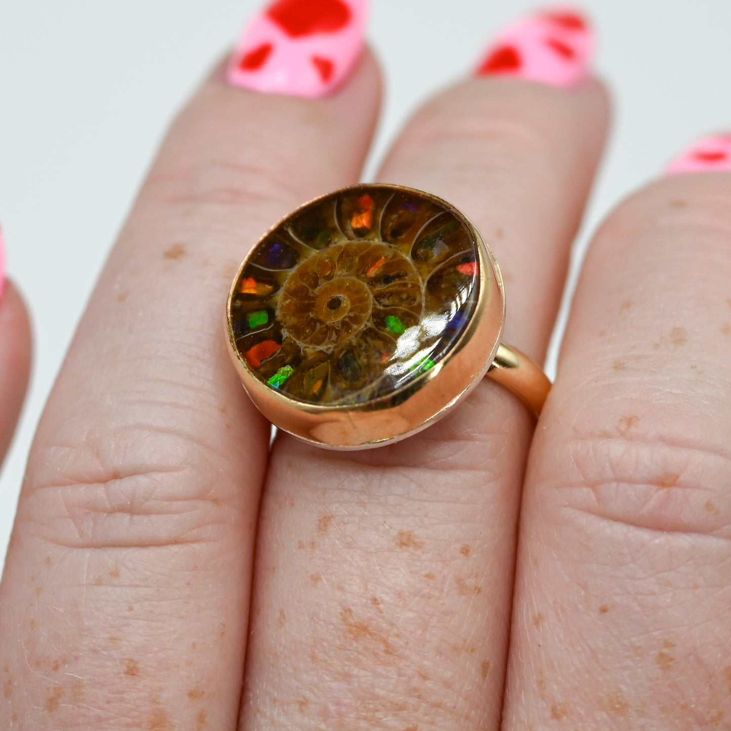 Gold fill round ammonite shell with ammonite inlay size 7.5
