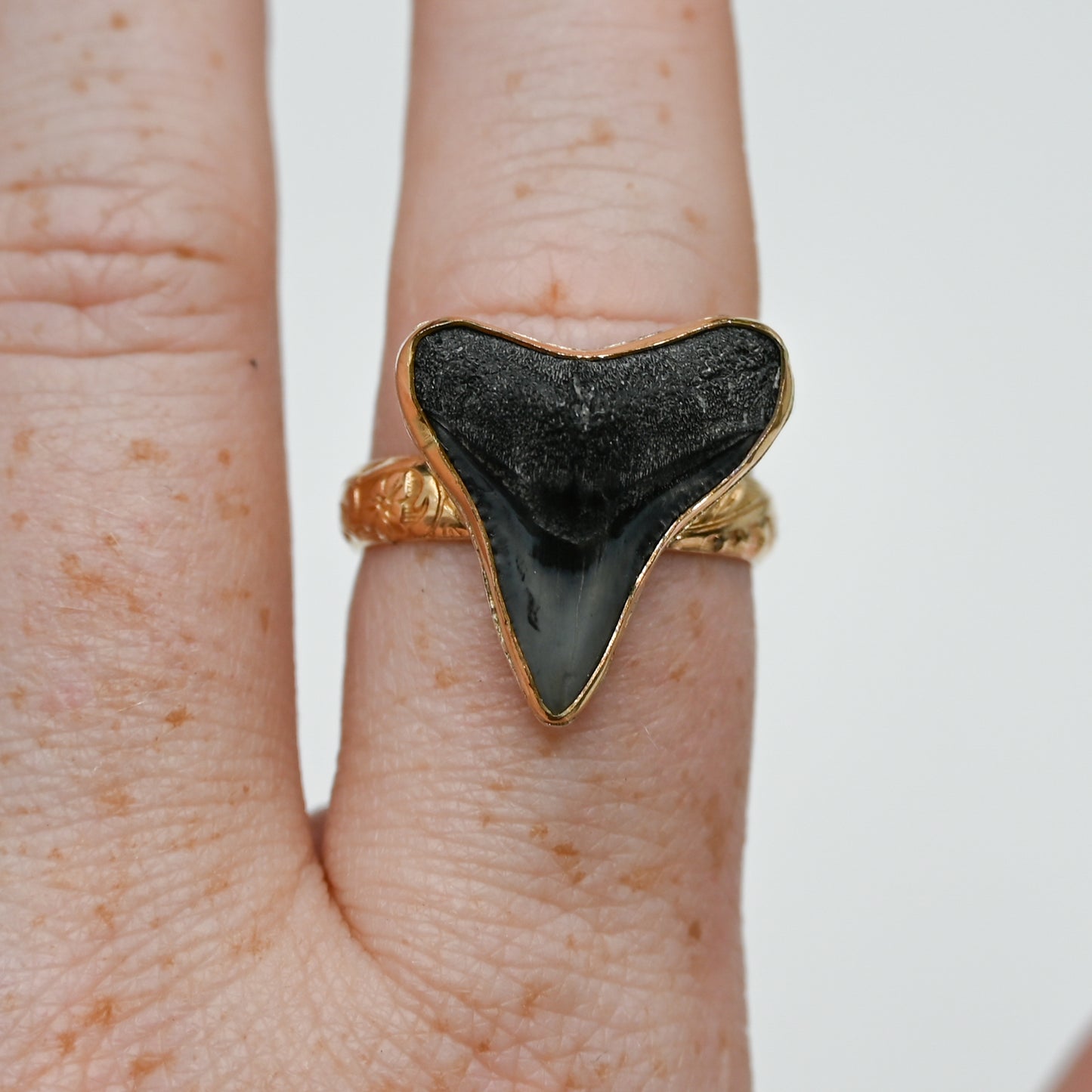 Gold fill fossilized shark tooth size 9