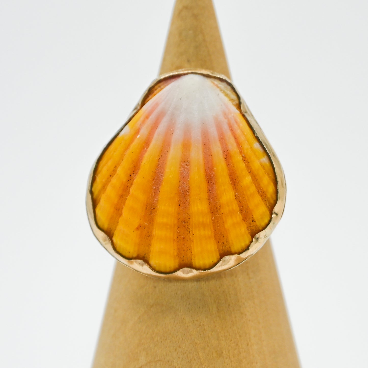 Gold fill Hawaiian sunrise shell size 6