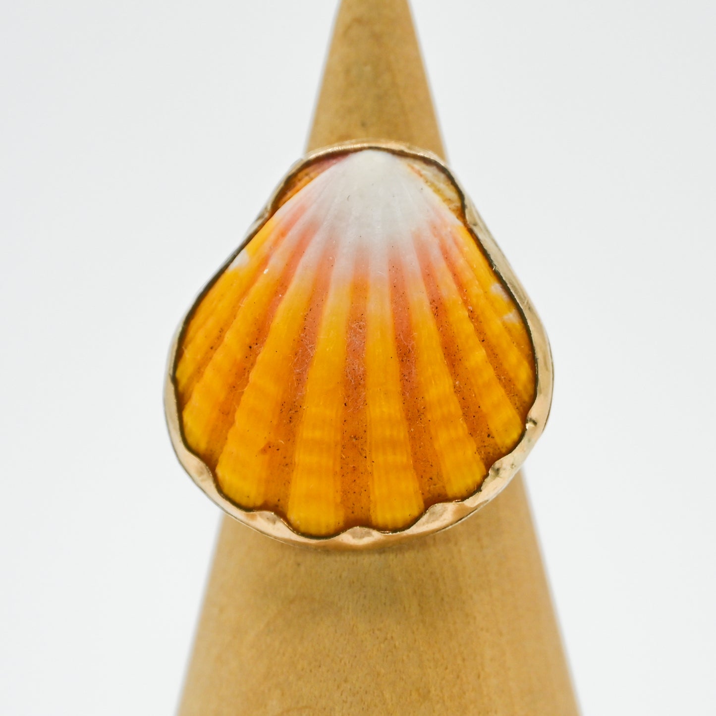 Gold fill Hawaiian sunrise shell size 6