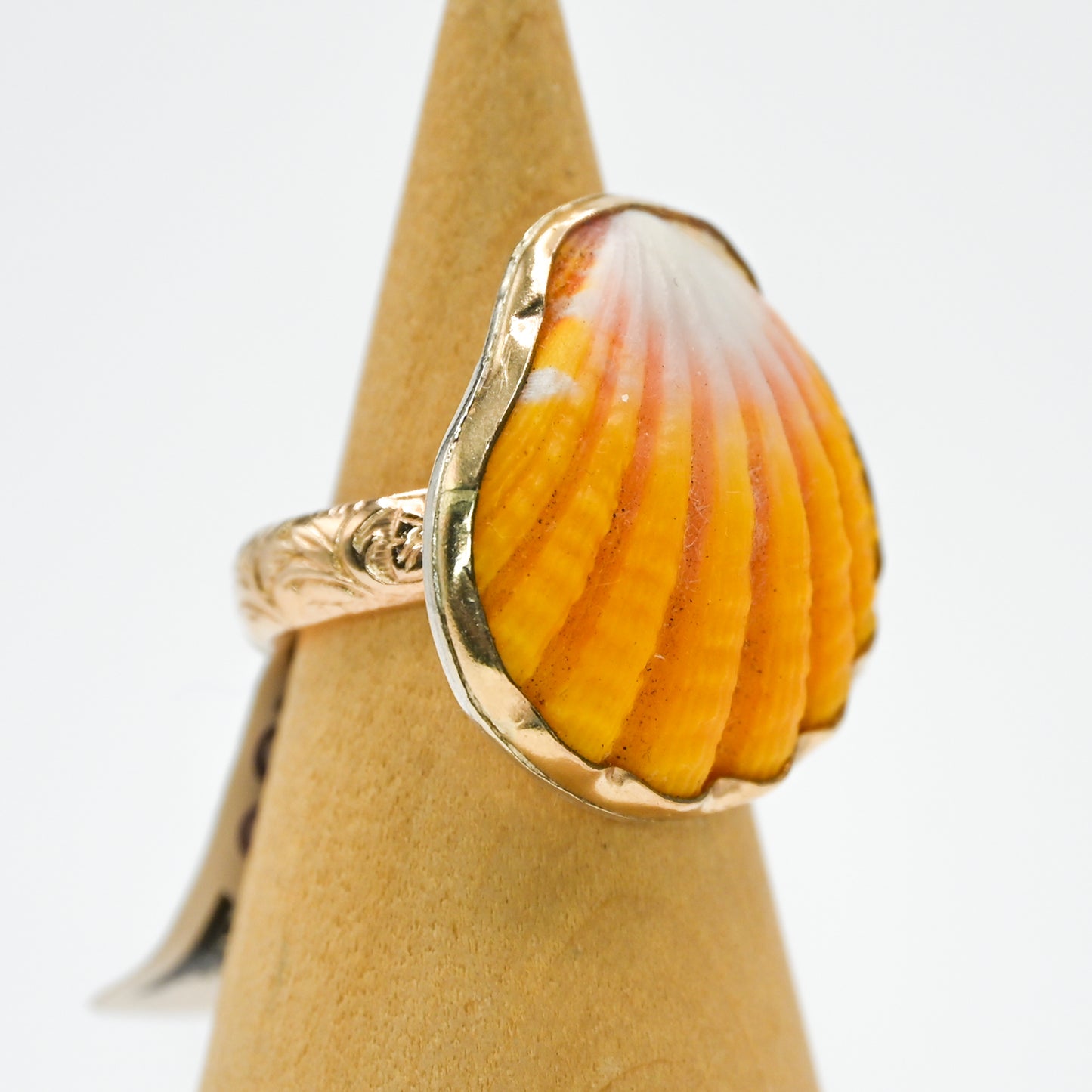 Gold fill Hawaiian sunrise shell size 6