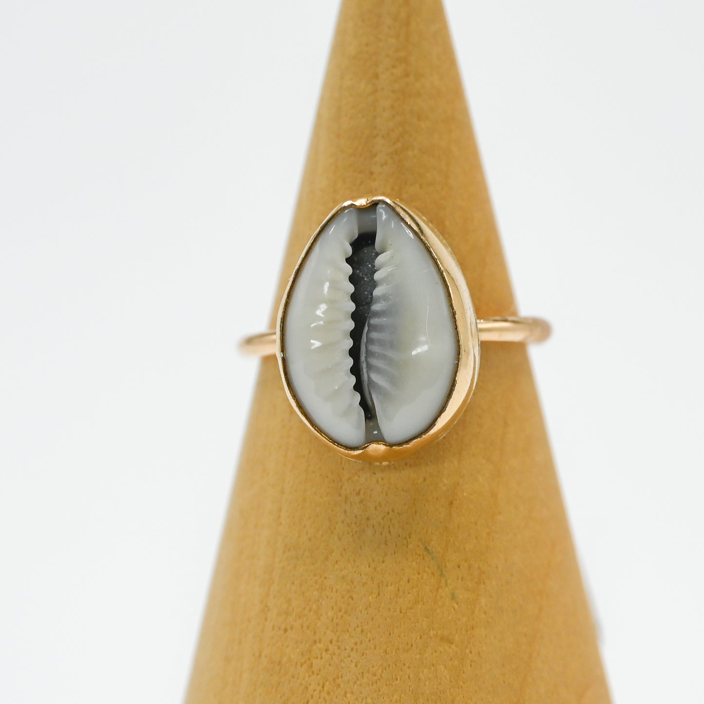 Gold fill cowrie size 7