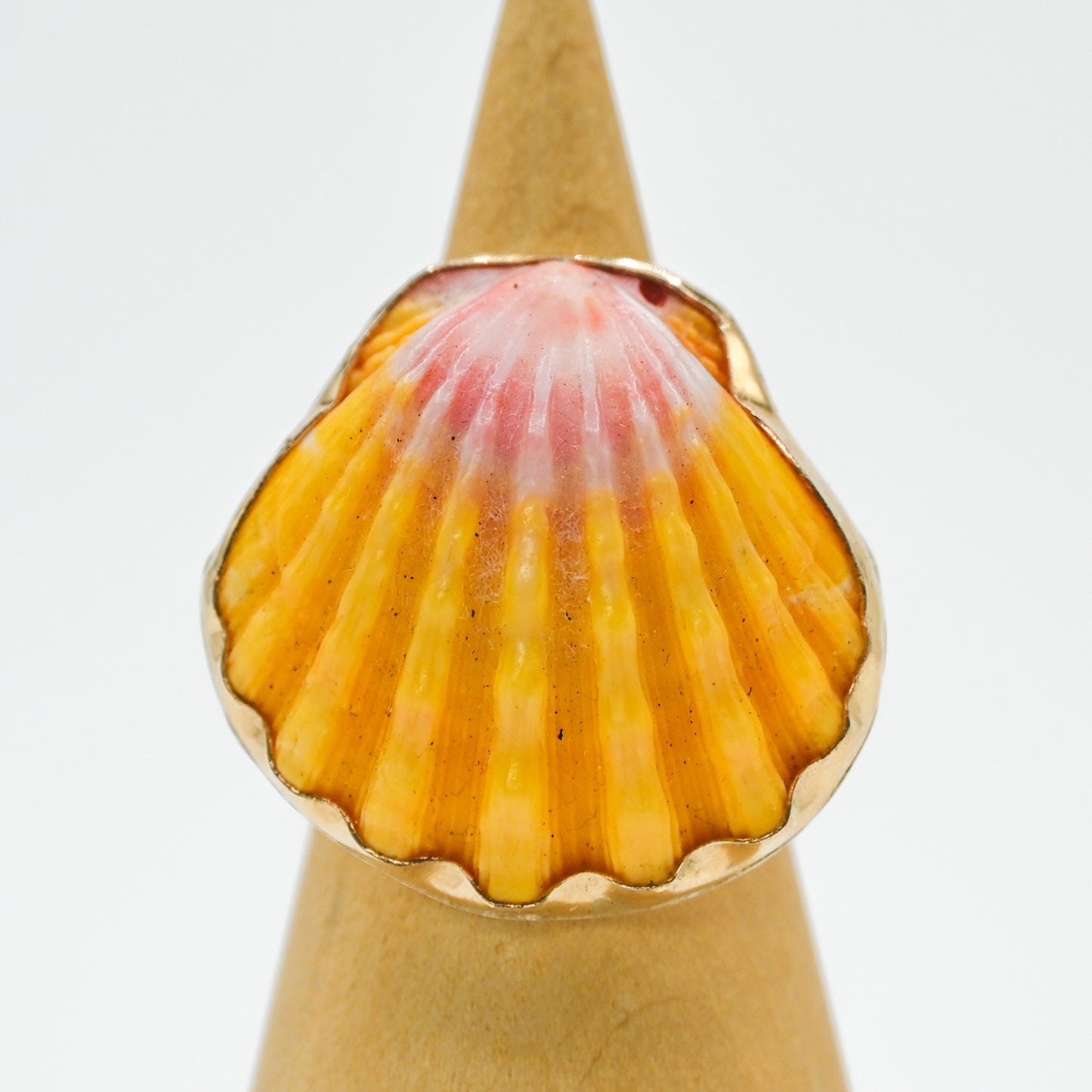 Gold fill XL hawaiian sunrise shell size 7