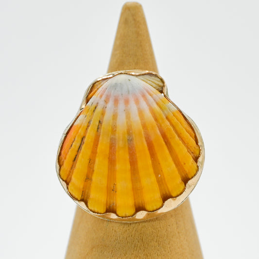 Gold fill Hawaiian sunrise shell size 7