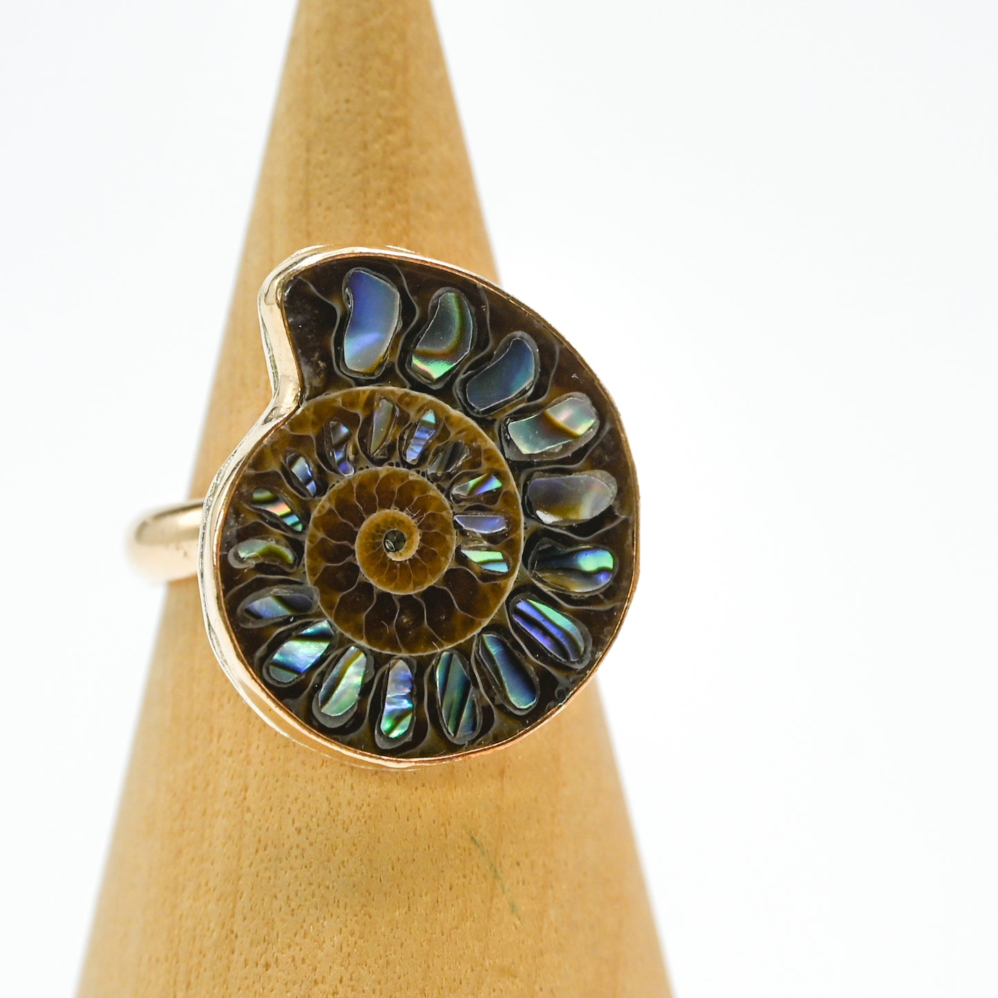 Gold fill xxl abalone inlay in ammonite shell size 7.75