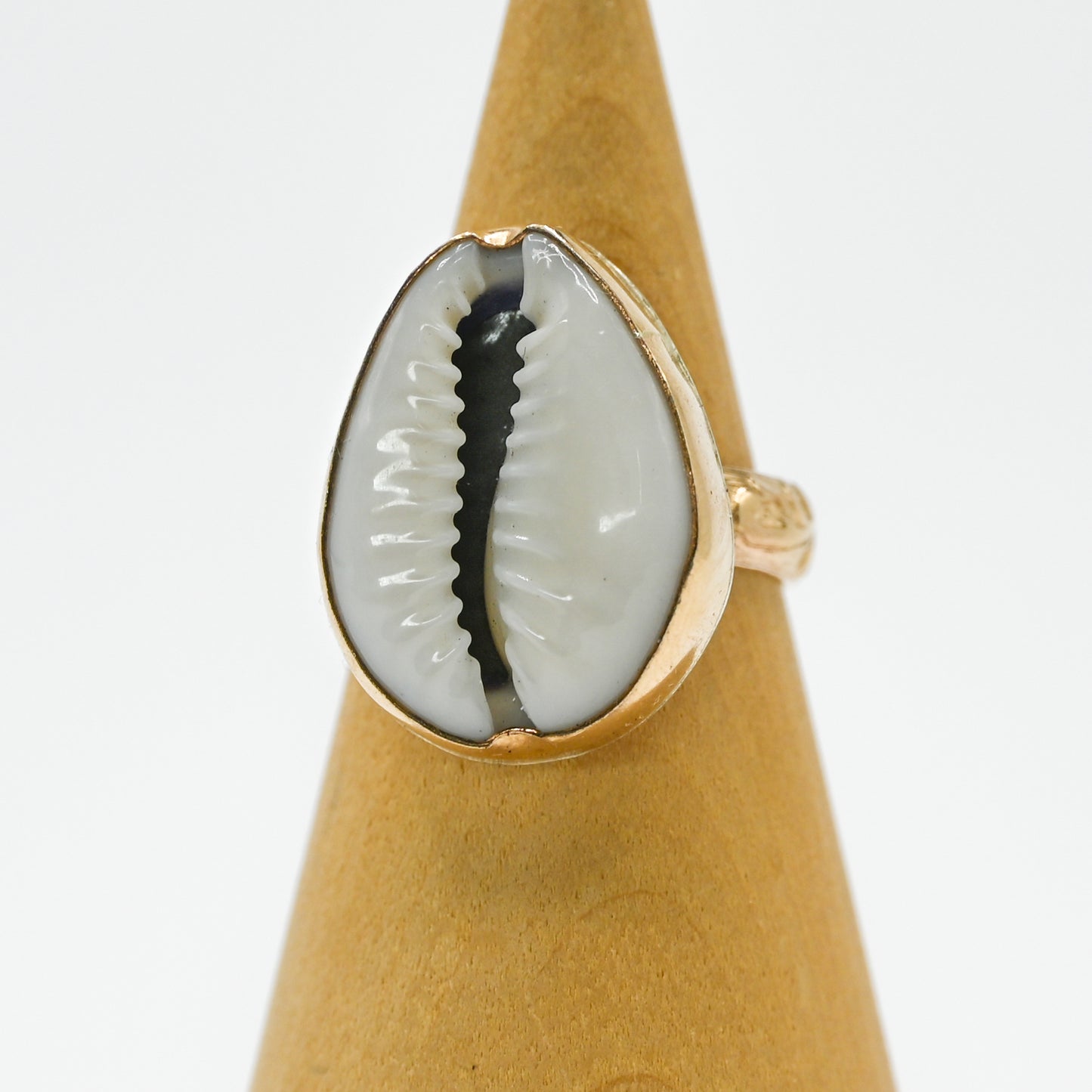 Gold fill cowrie size 7.5