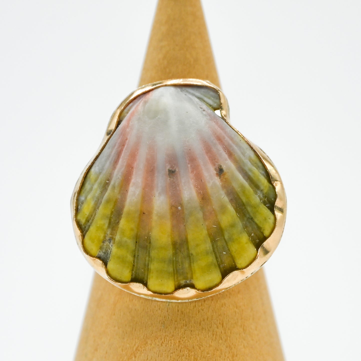 Gold fill xl Hawaiian moonrise shell size 7.5