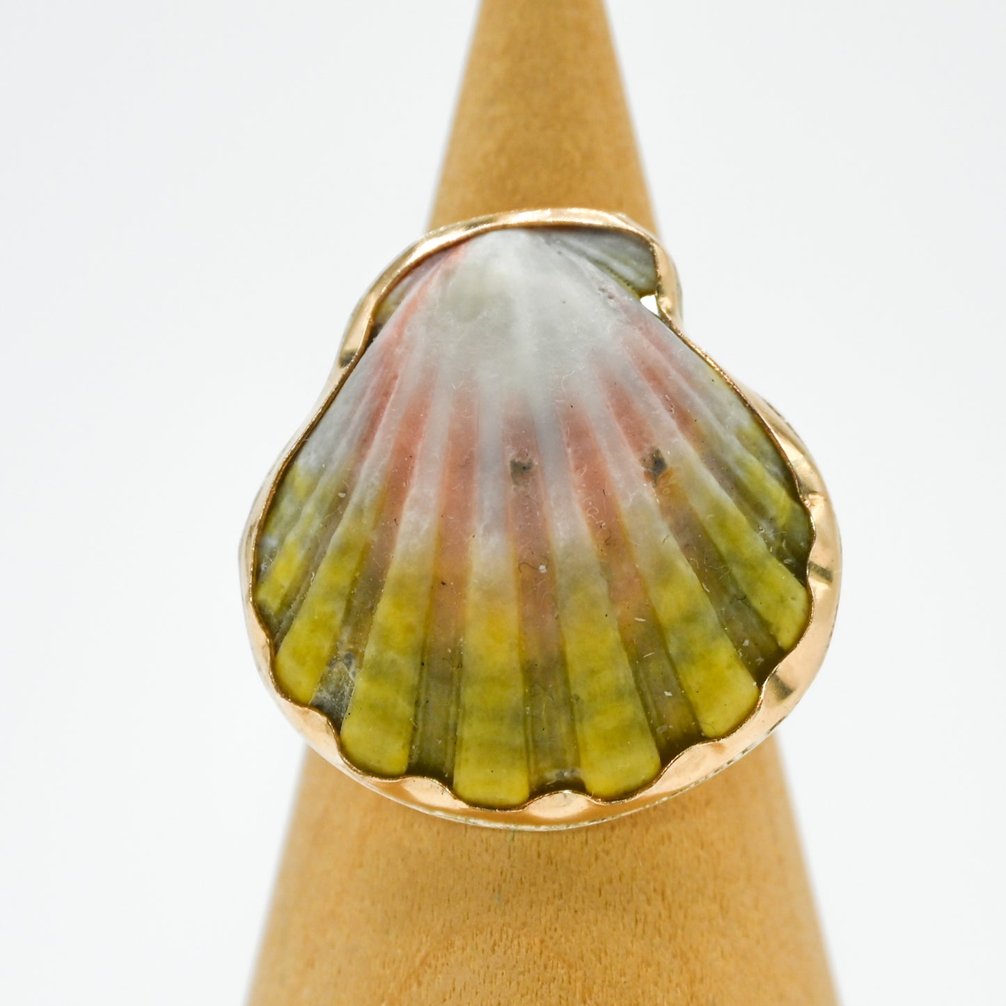 Gold fill xl Hawaiian moonrise shell size 7.5