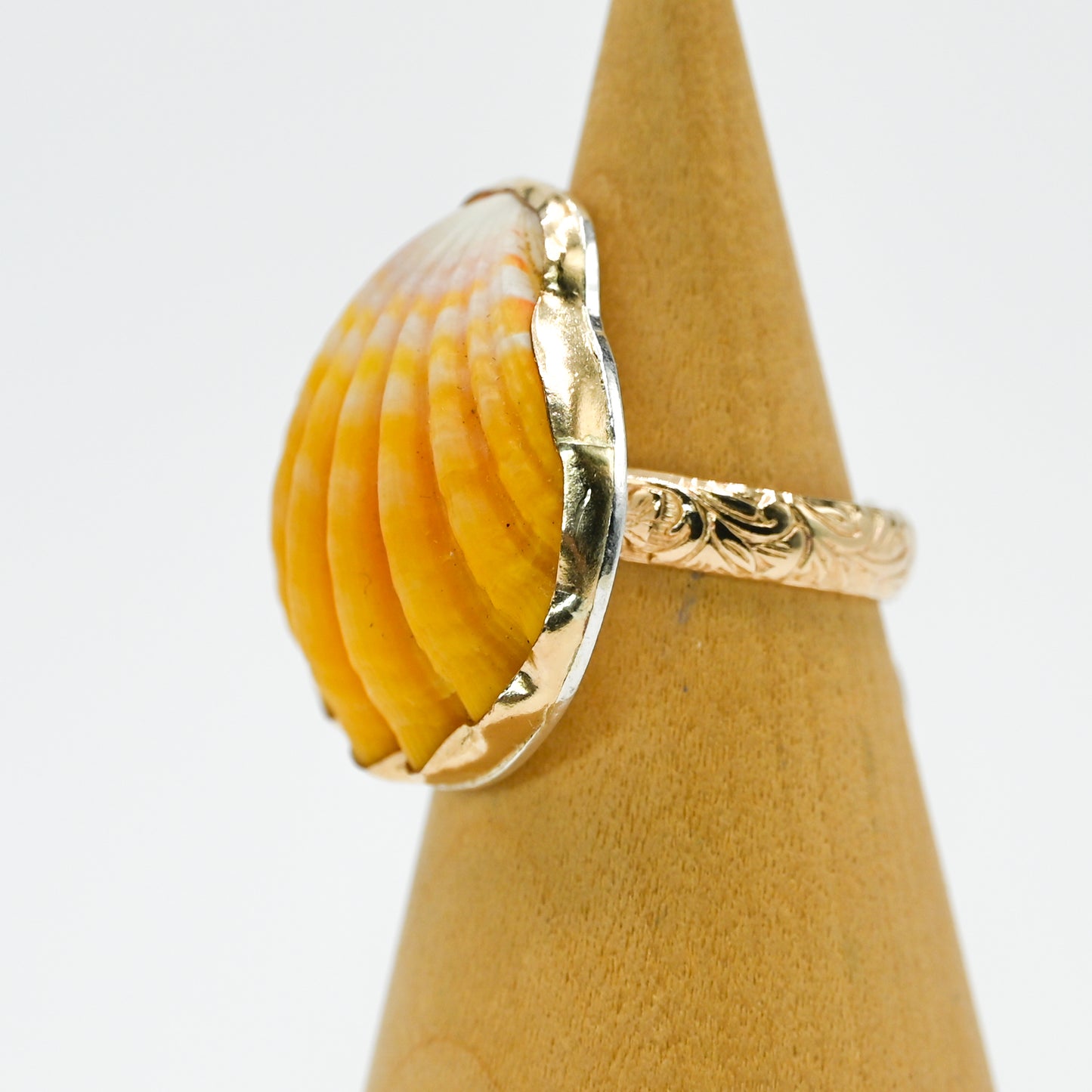 Gold fill Hawaiian sunrise shell size 8