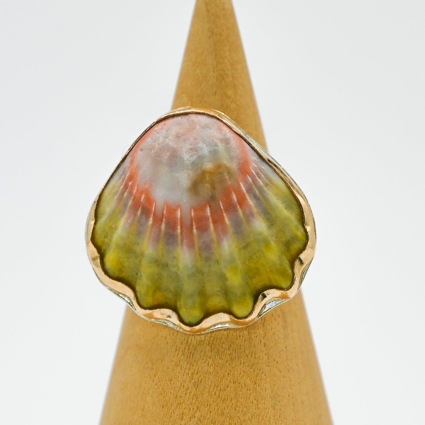 Gold fill hawaiian moonrise shell size 8