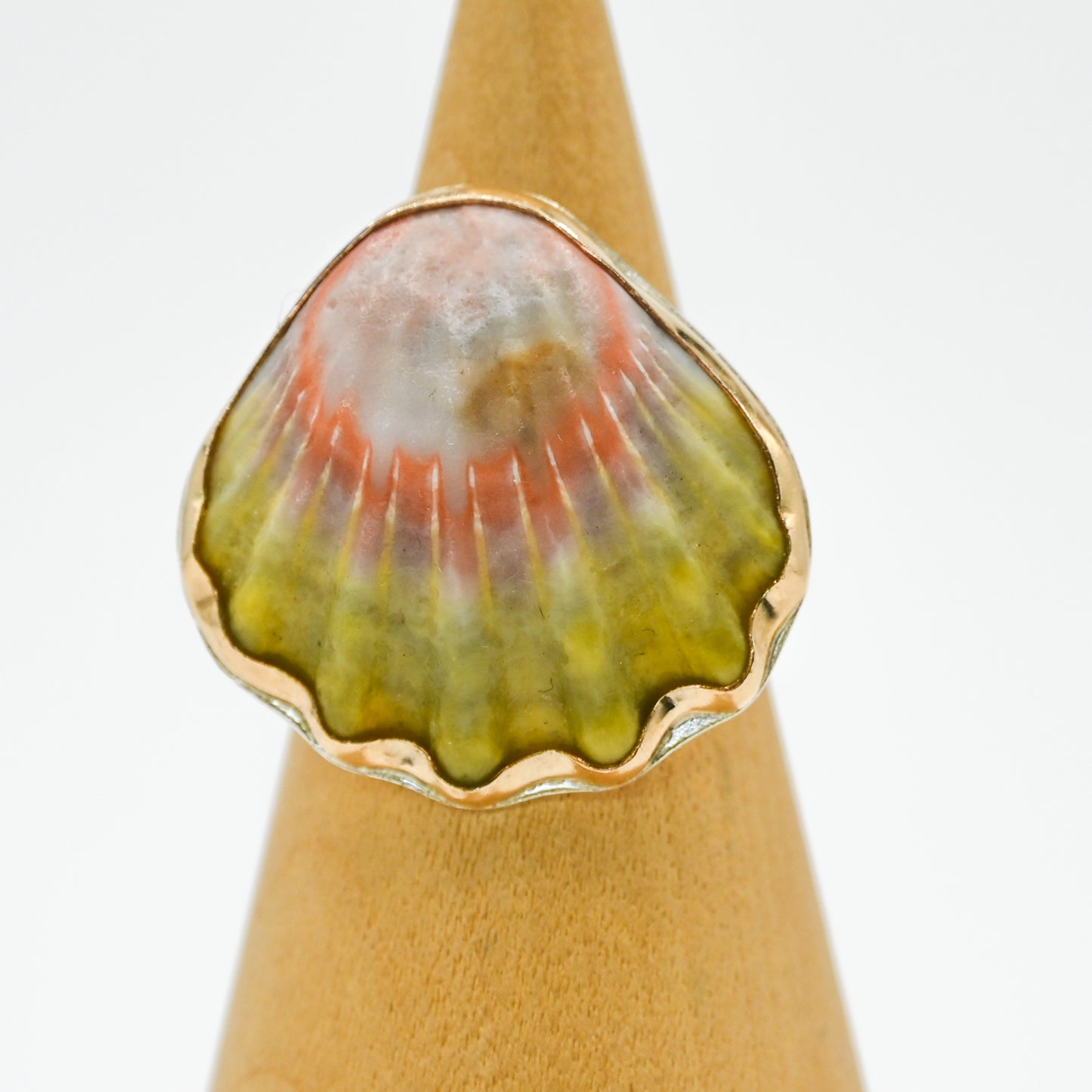 Gold fill hawaiian moonrise shell size 8