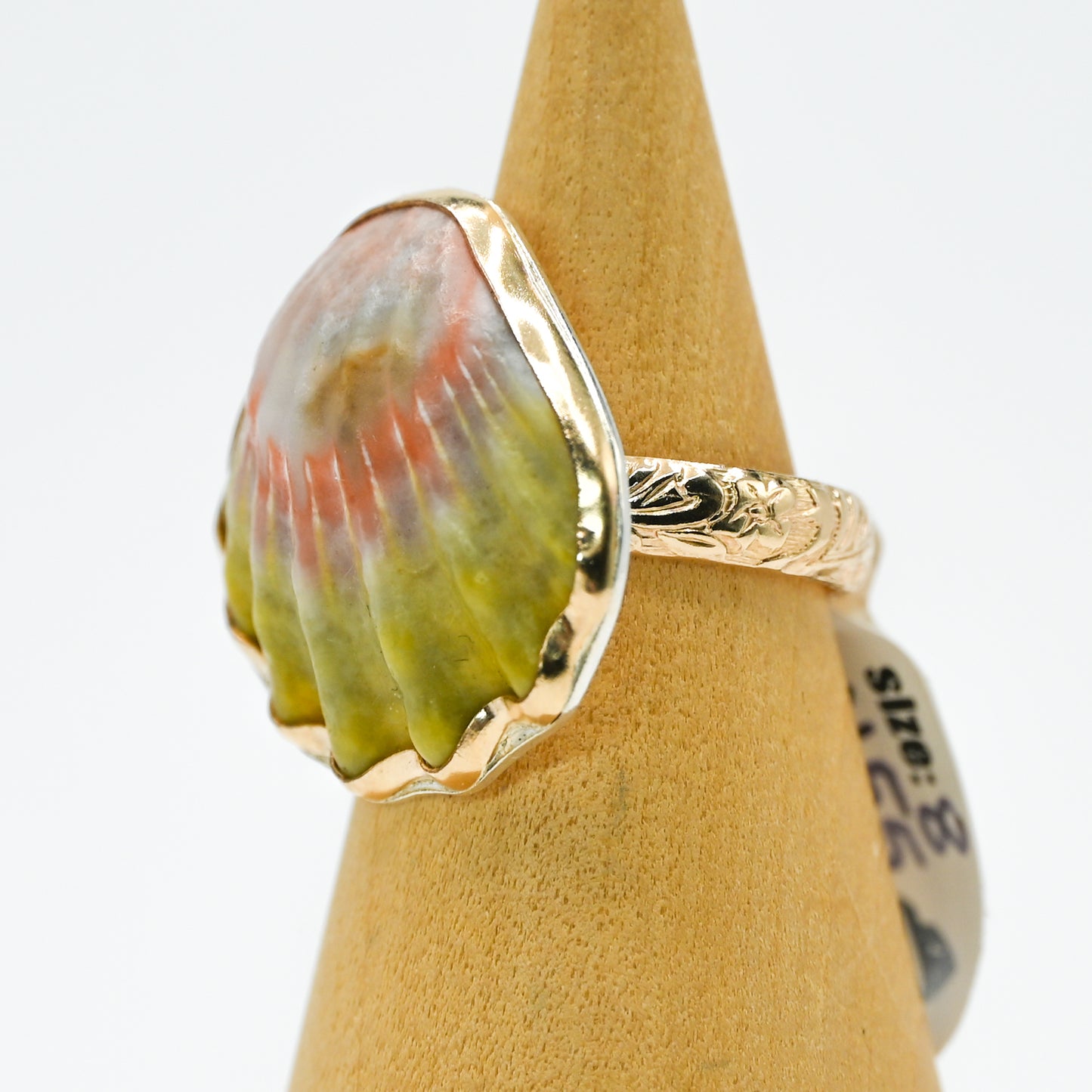 Gold fill hawaiian moonrise shell size 8