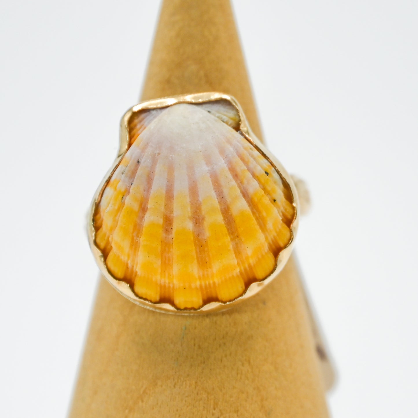 Gold fill Hawaiian sunrise shell size 8.25
