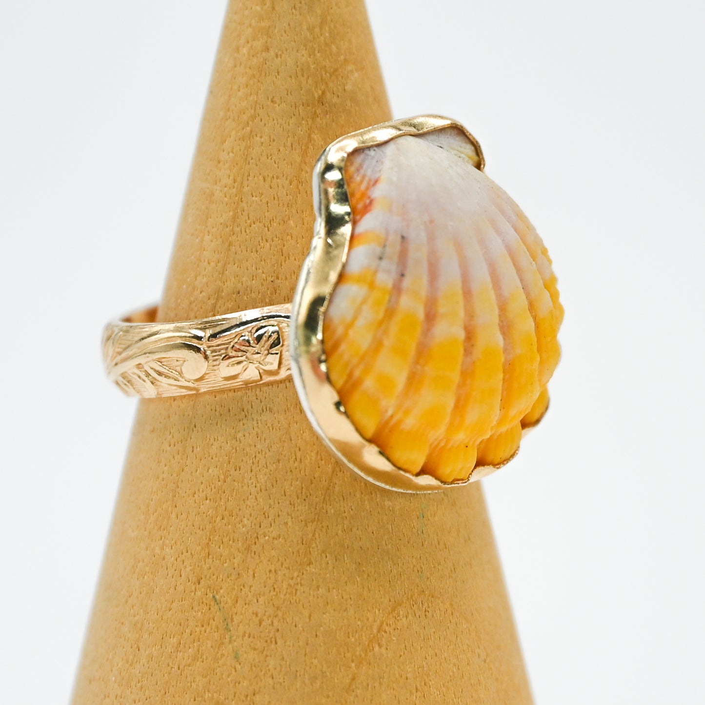Gold fill Hawaiian sunrise shell size 8.25