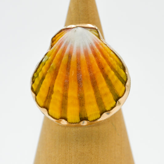 Gold fill Hawaiian sunrise shell size 8.5
