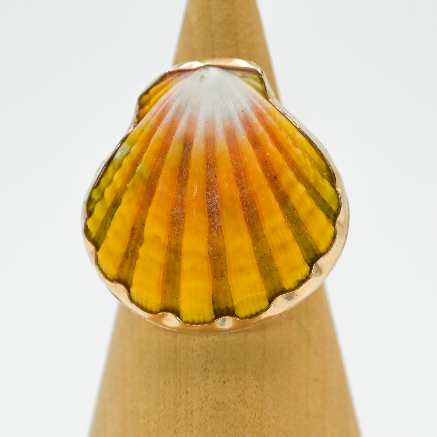 Gold fill Hawaiian sunrise shell size 8.5