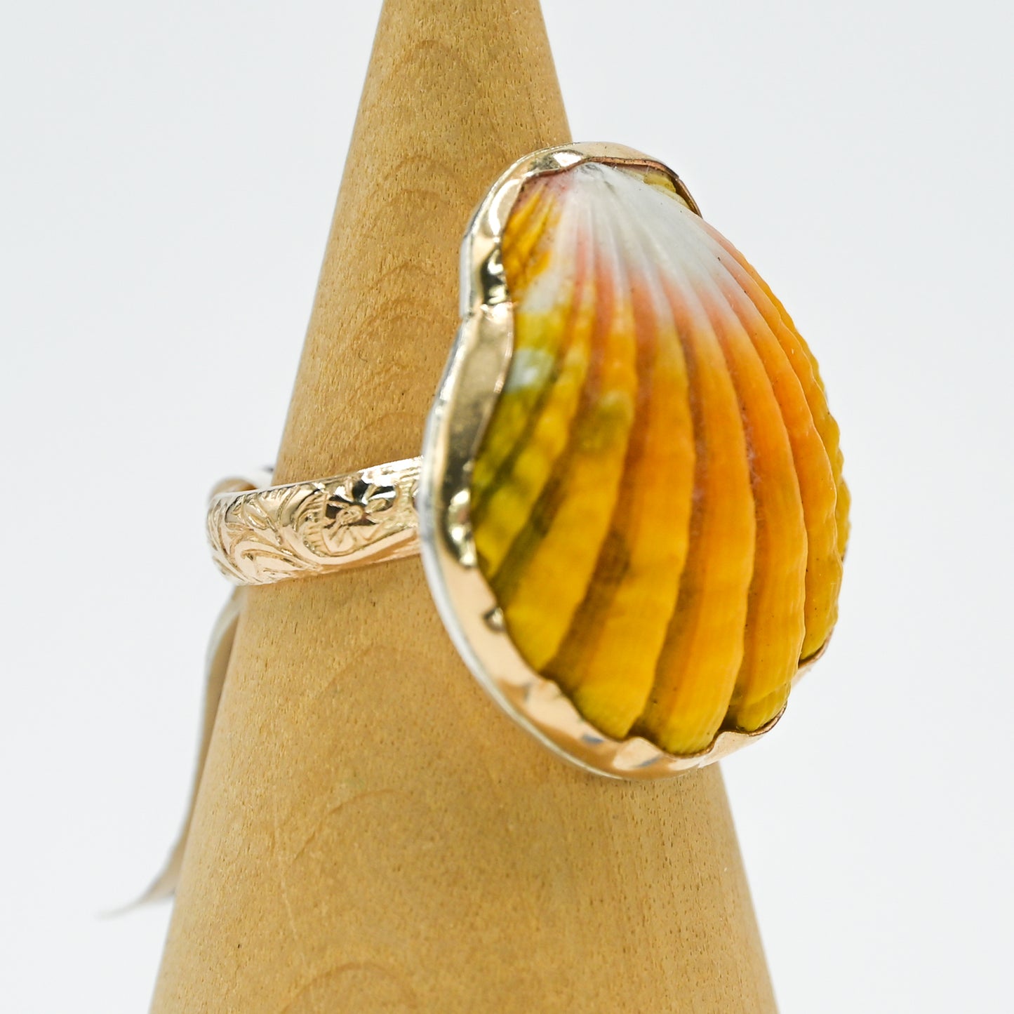 Gold fill Hawaiian sunrise shell size 8.5