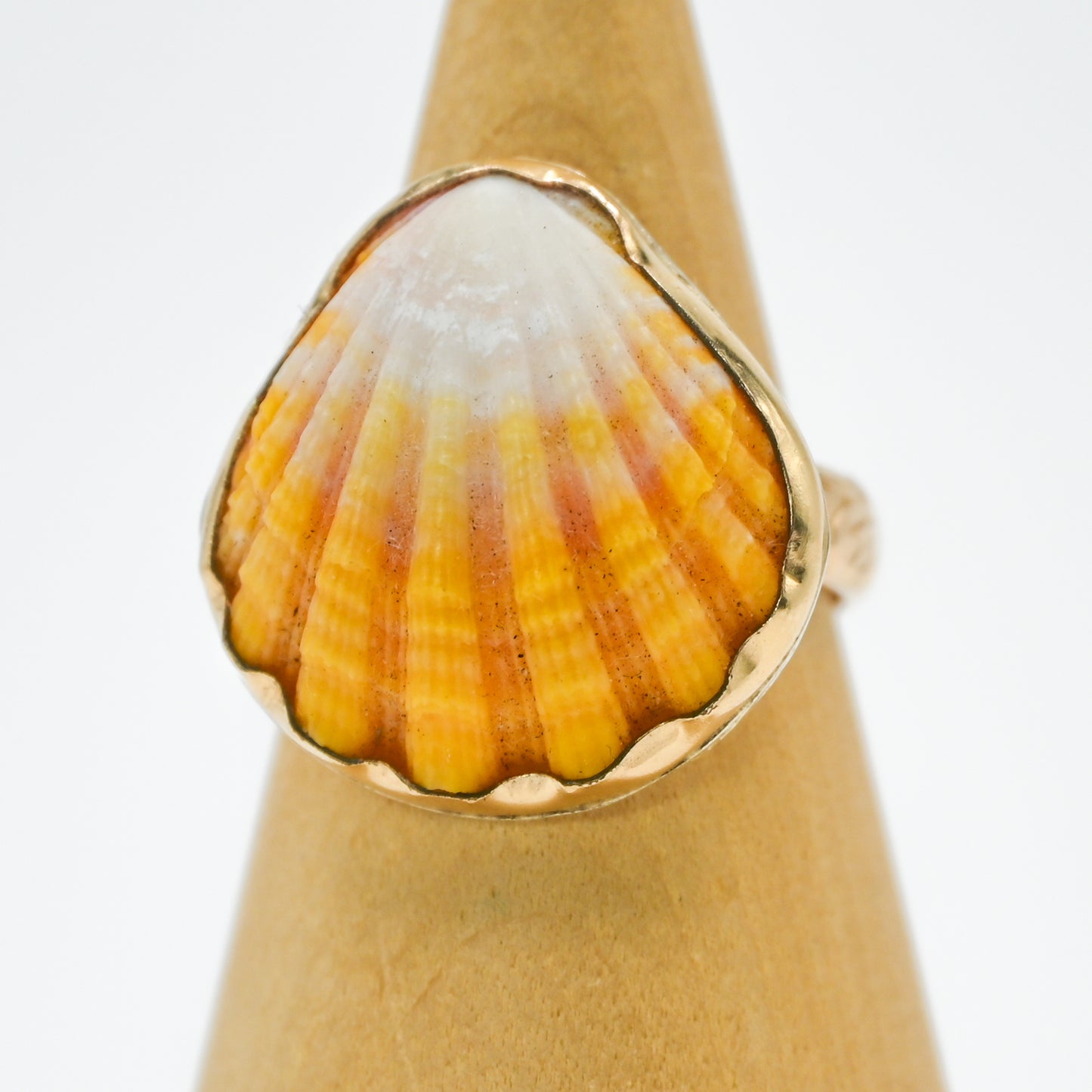 Gold fill Hawaiian Sunrise shell size 9