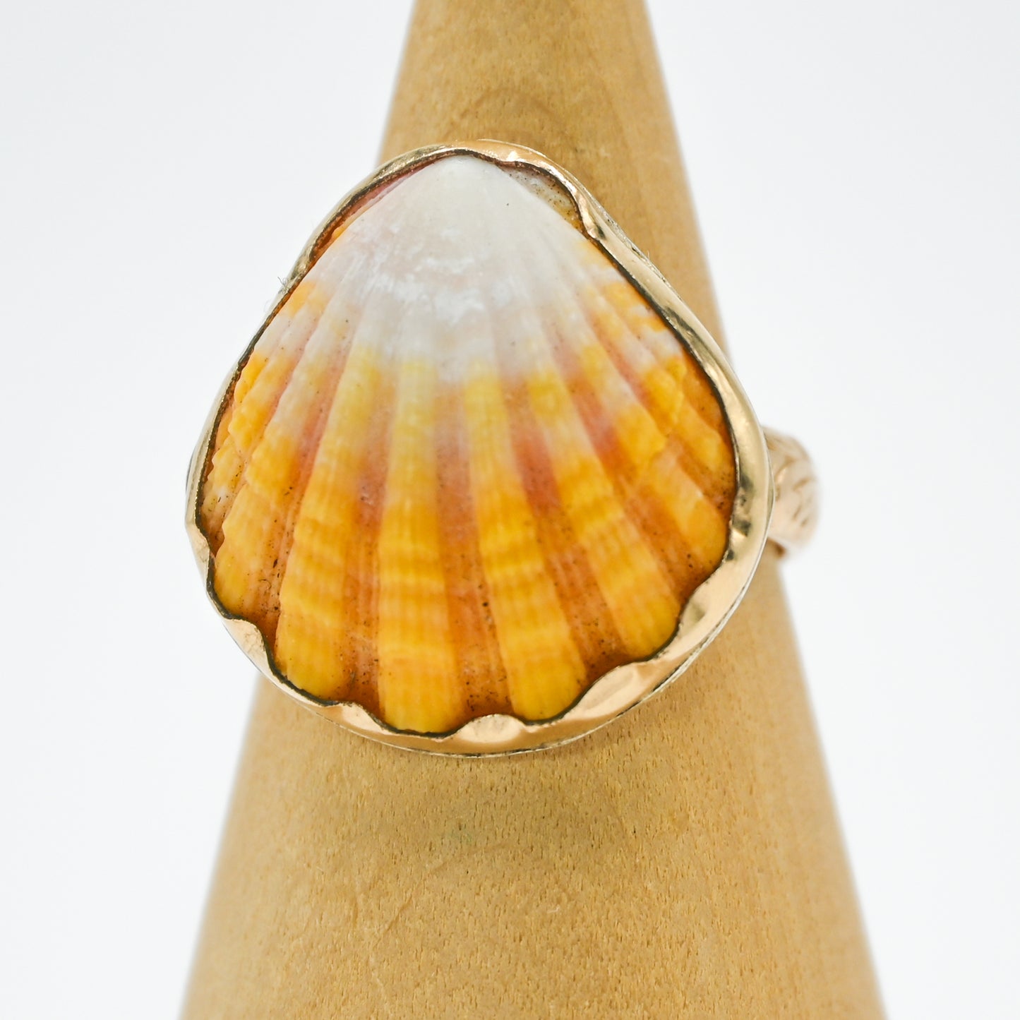 Gold fill Hawaiian Sunrise shell size 9