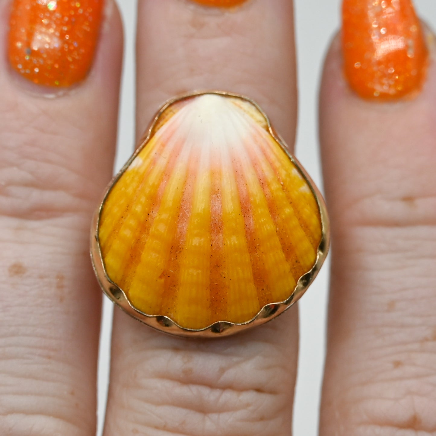 Gold fill Hawaiian sunrise shell size 6