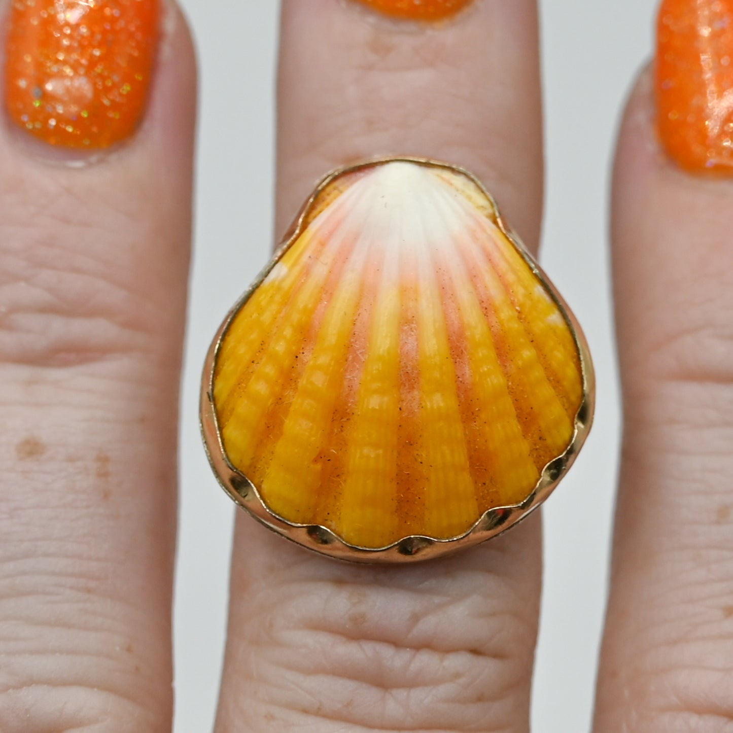 Gold fill Hawaiian sunrise shell size 6