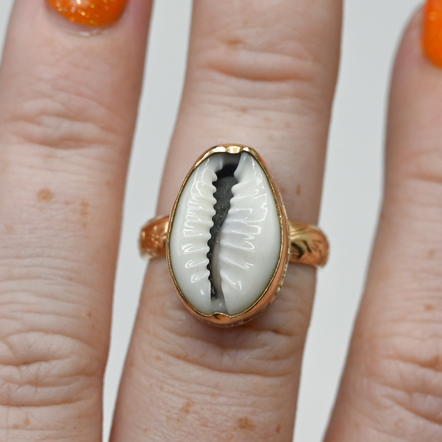 Gold fill cowrie size 6.5