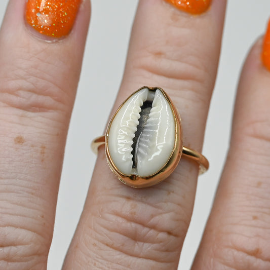 Gold fill cowrie size 7