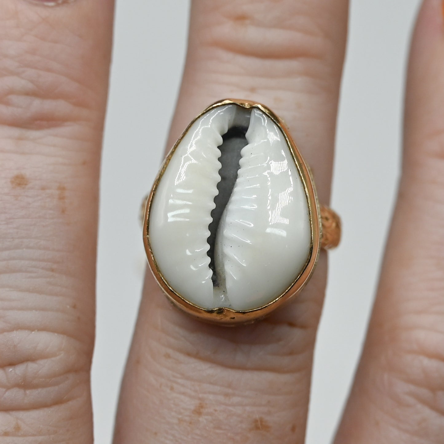 Gold fill xl cowrie size 7