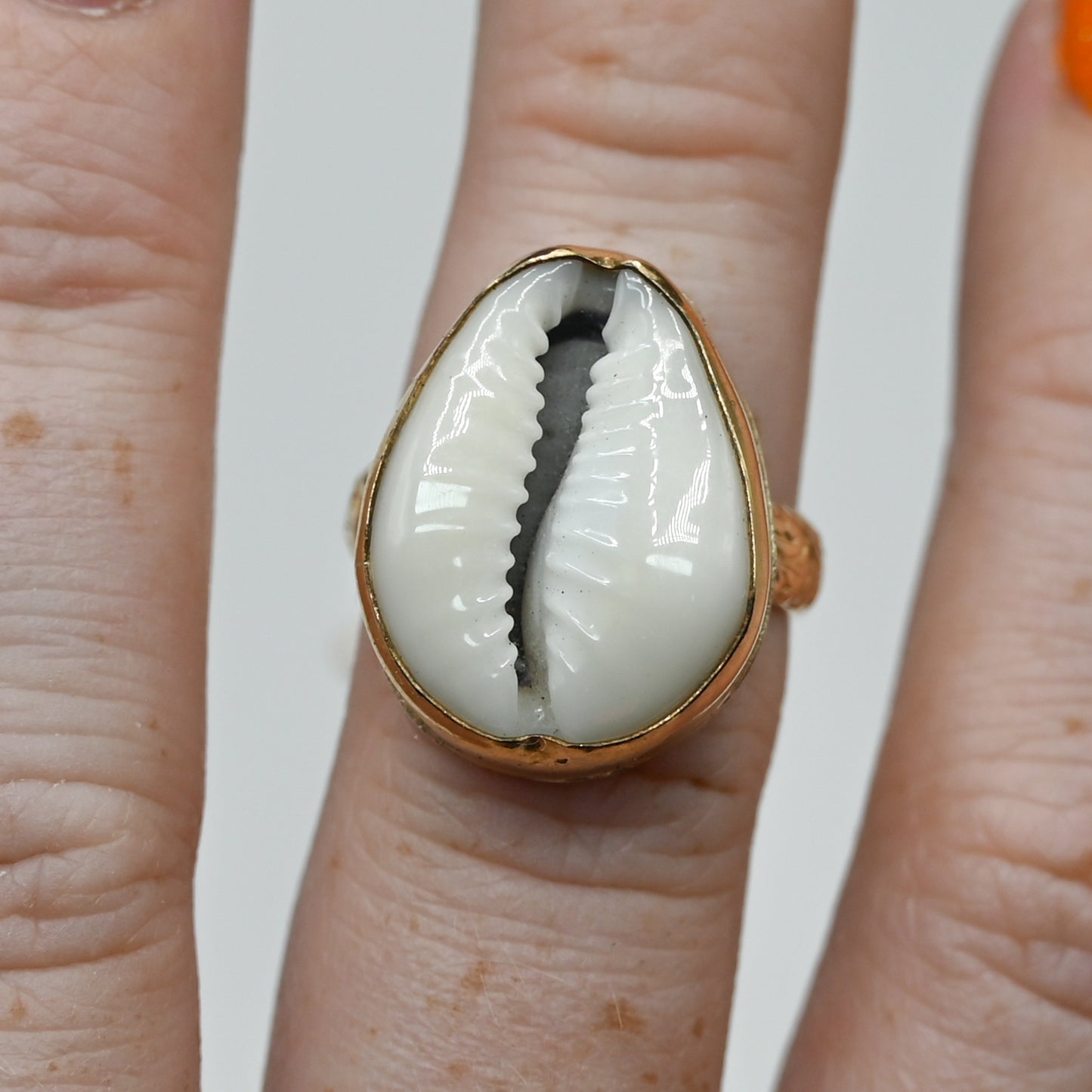 Gold fill xl cowrie size 7