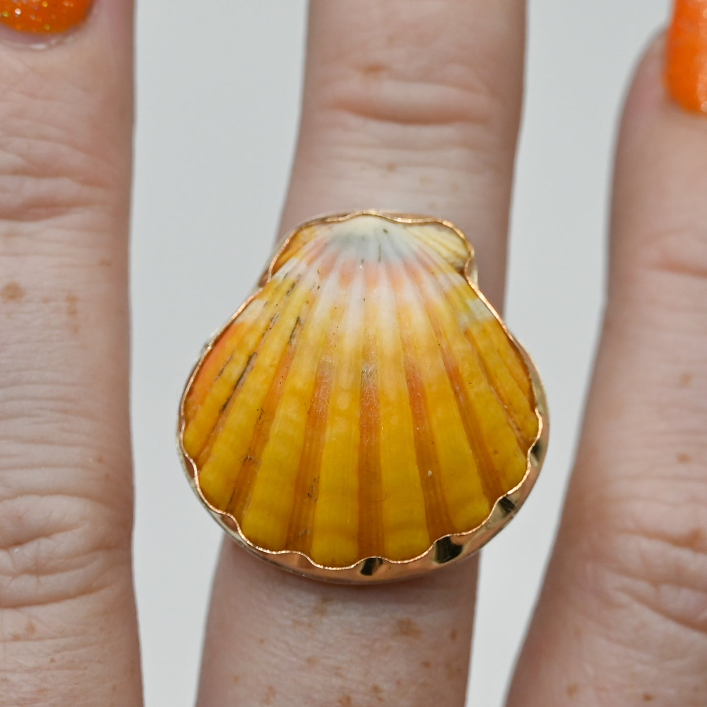 Gold fill Hawaiian sunrise shell size 7