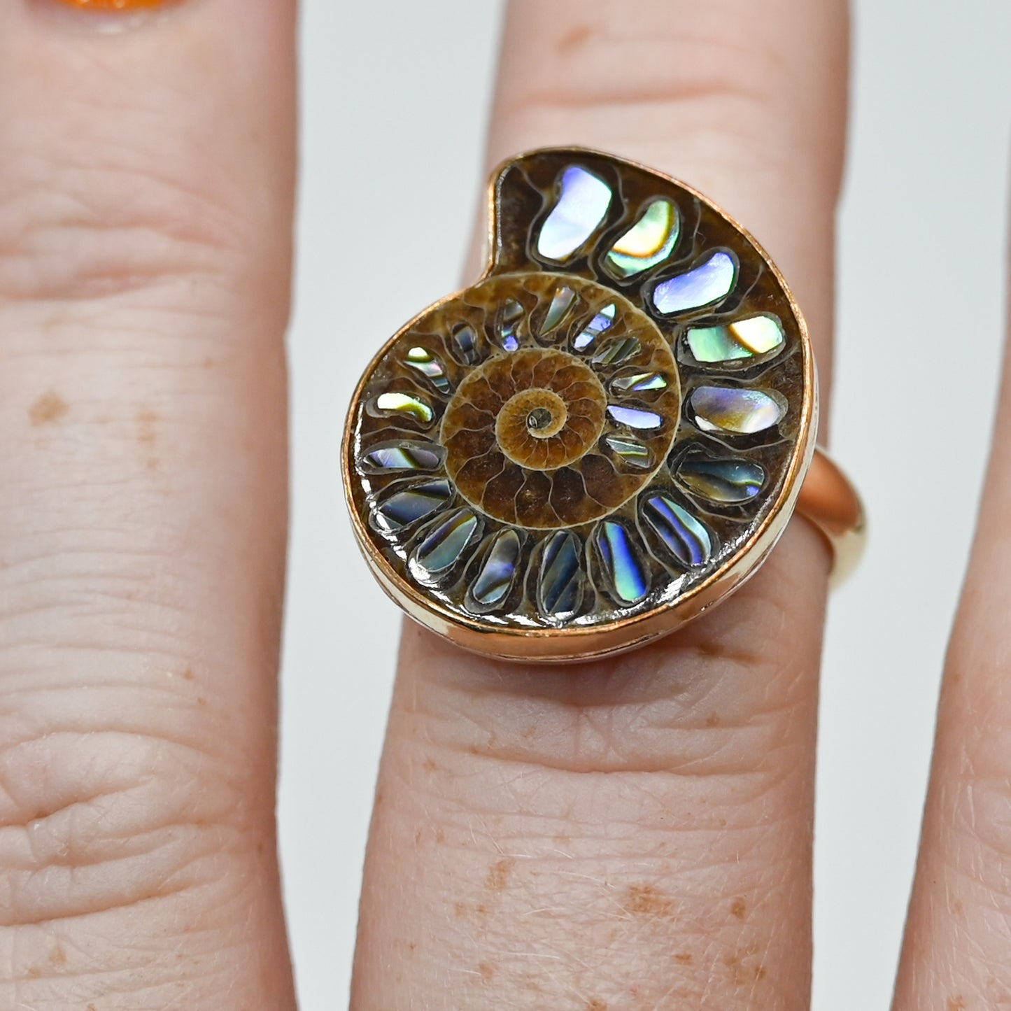 Gold fill xxl abalone inlay in ammonite shell size 7.75