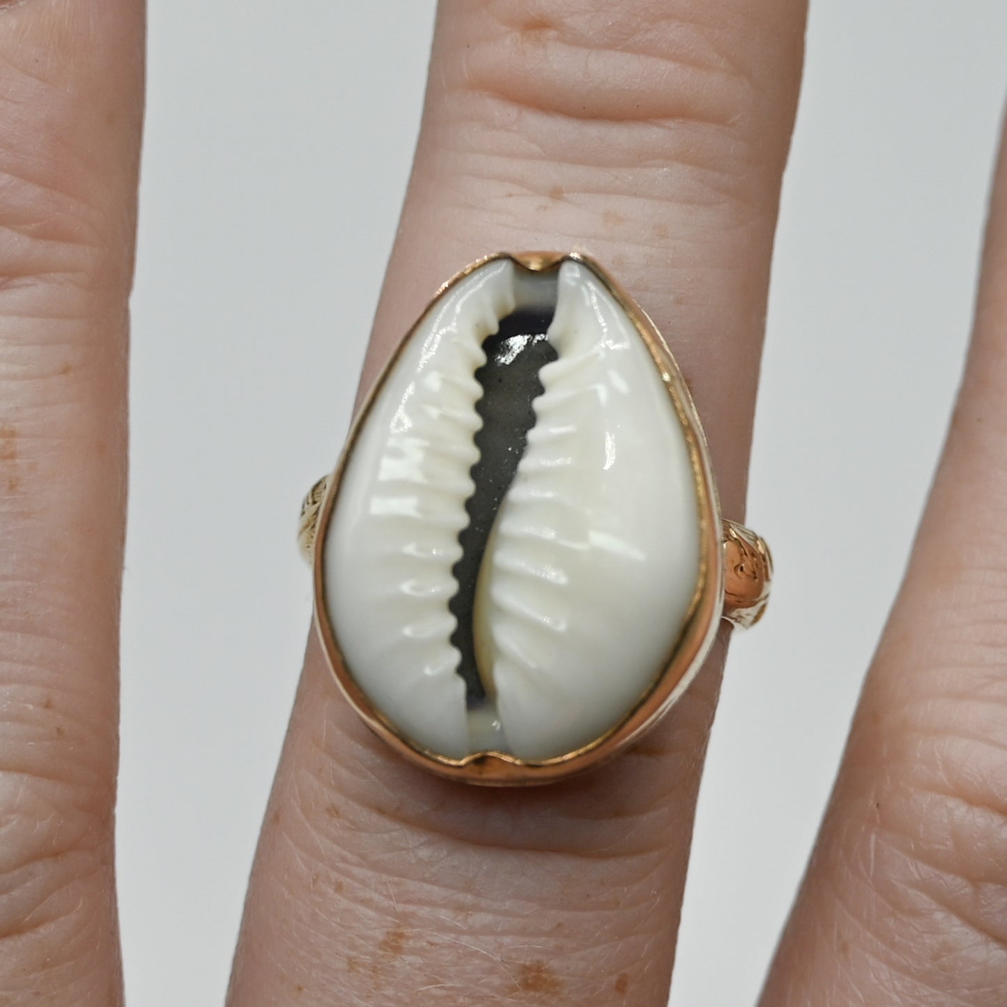 Gold fill cowrie size 7.5