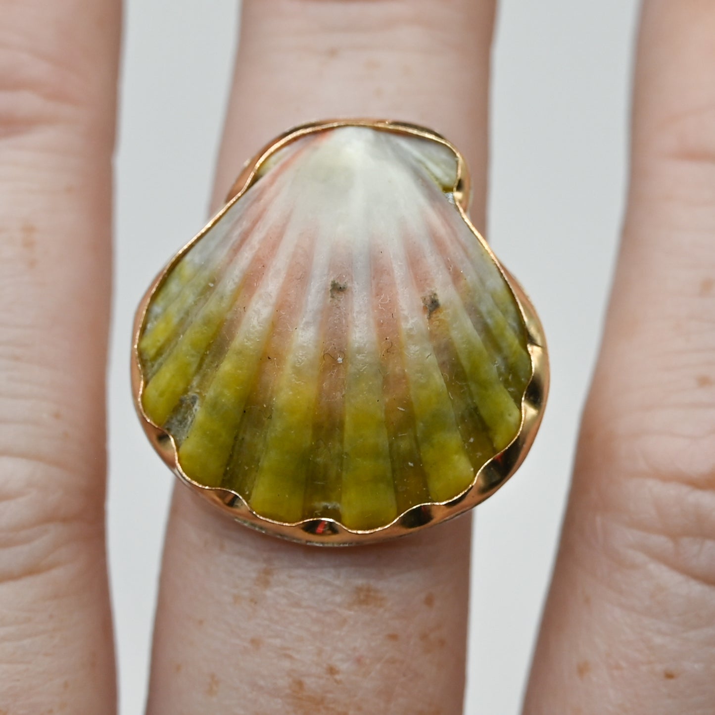 Gold fill xl Hawaiian moonrise shell size 7.5