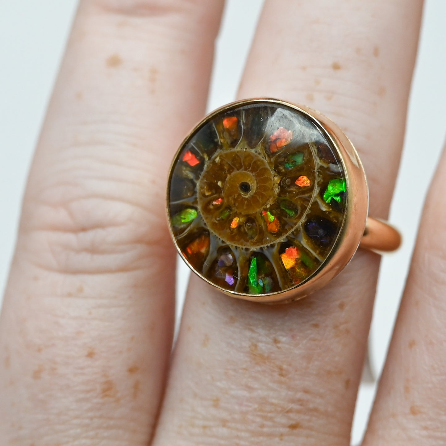 Gold fill xxl Ammonite shell with ammonite inlay size 7.75