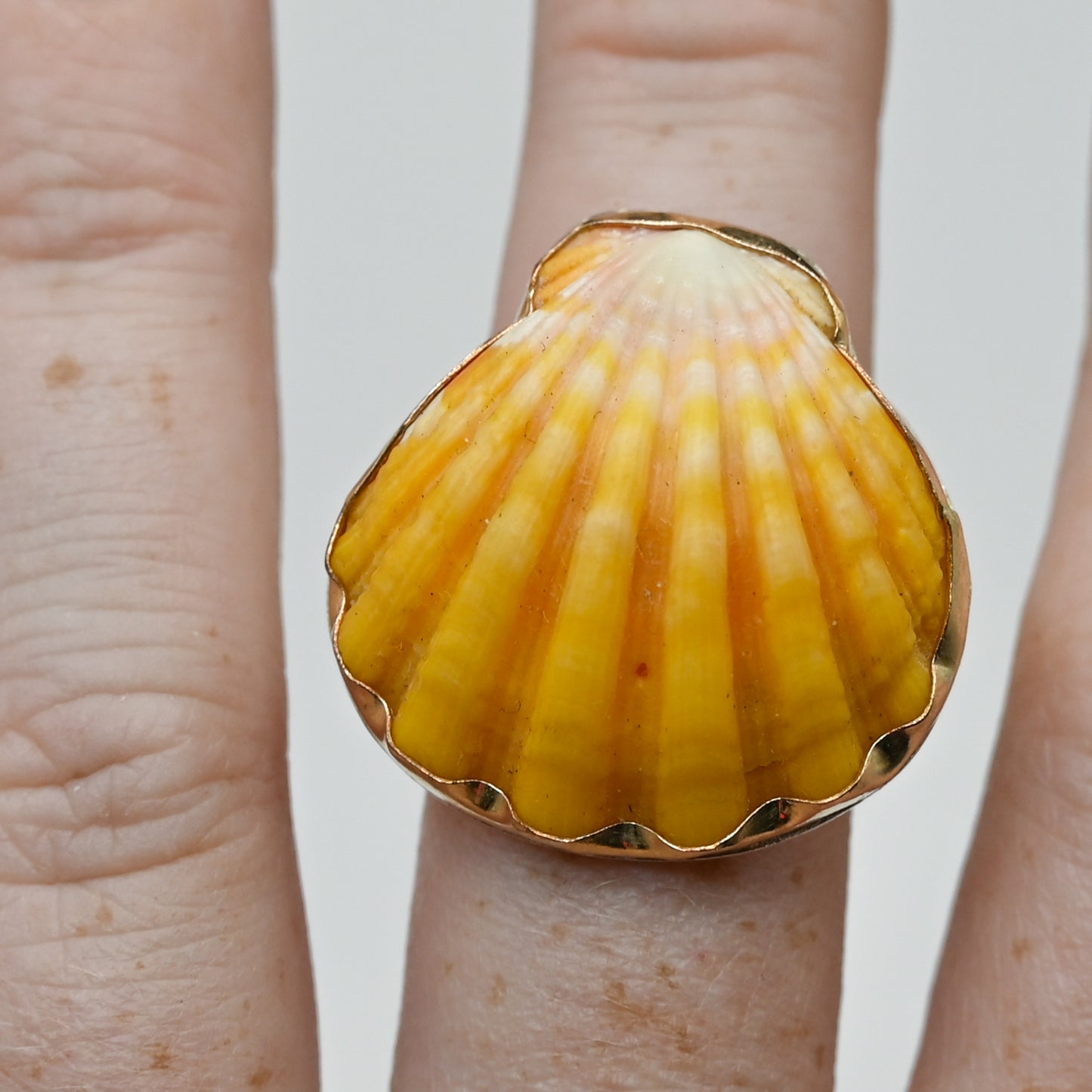 Gold fill Hawaiian sunrise shell size 8