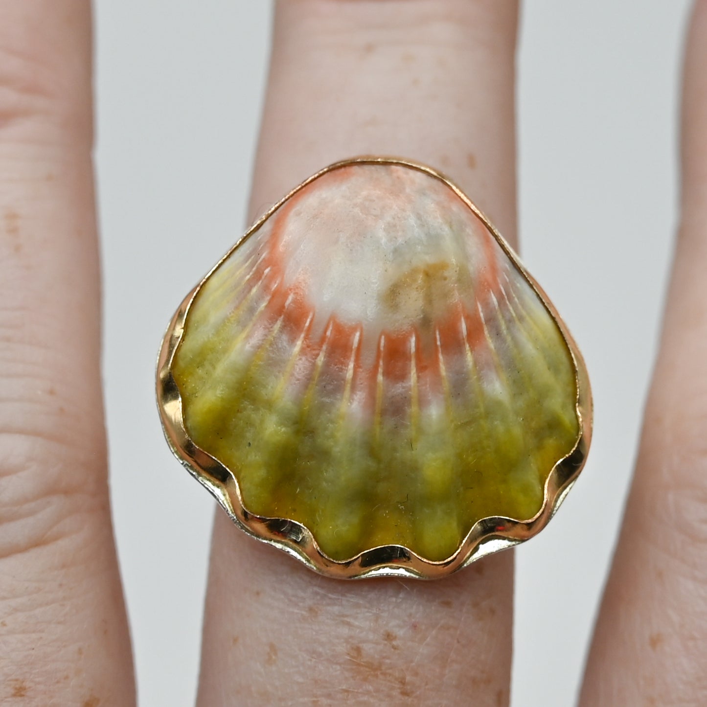 Gold fill hawaiian moonrise shell size 8