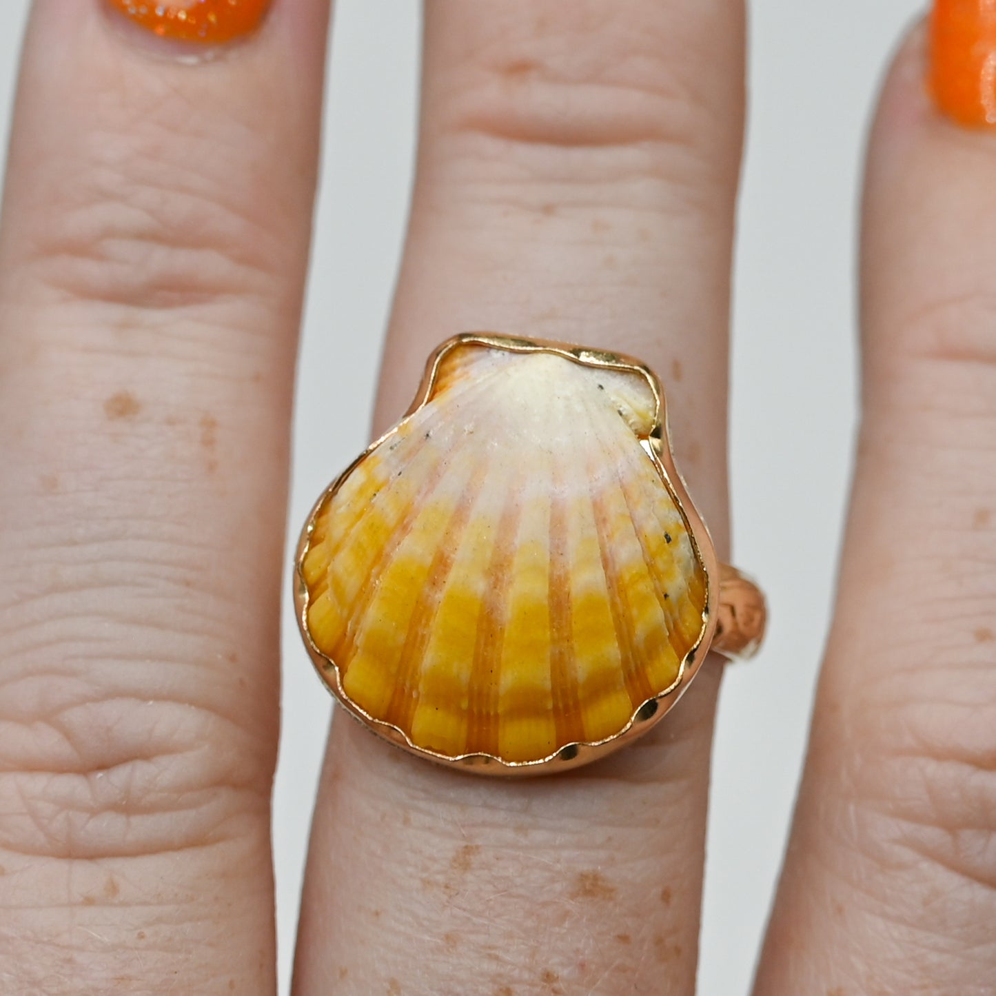 Gold fill Hawaiian sunrise shell size 8.25