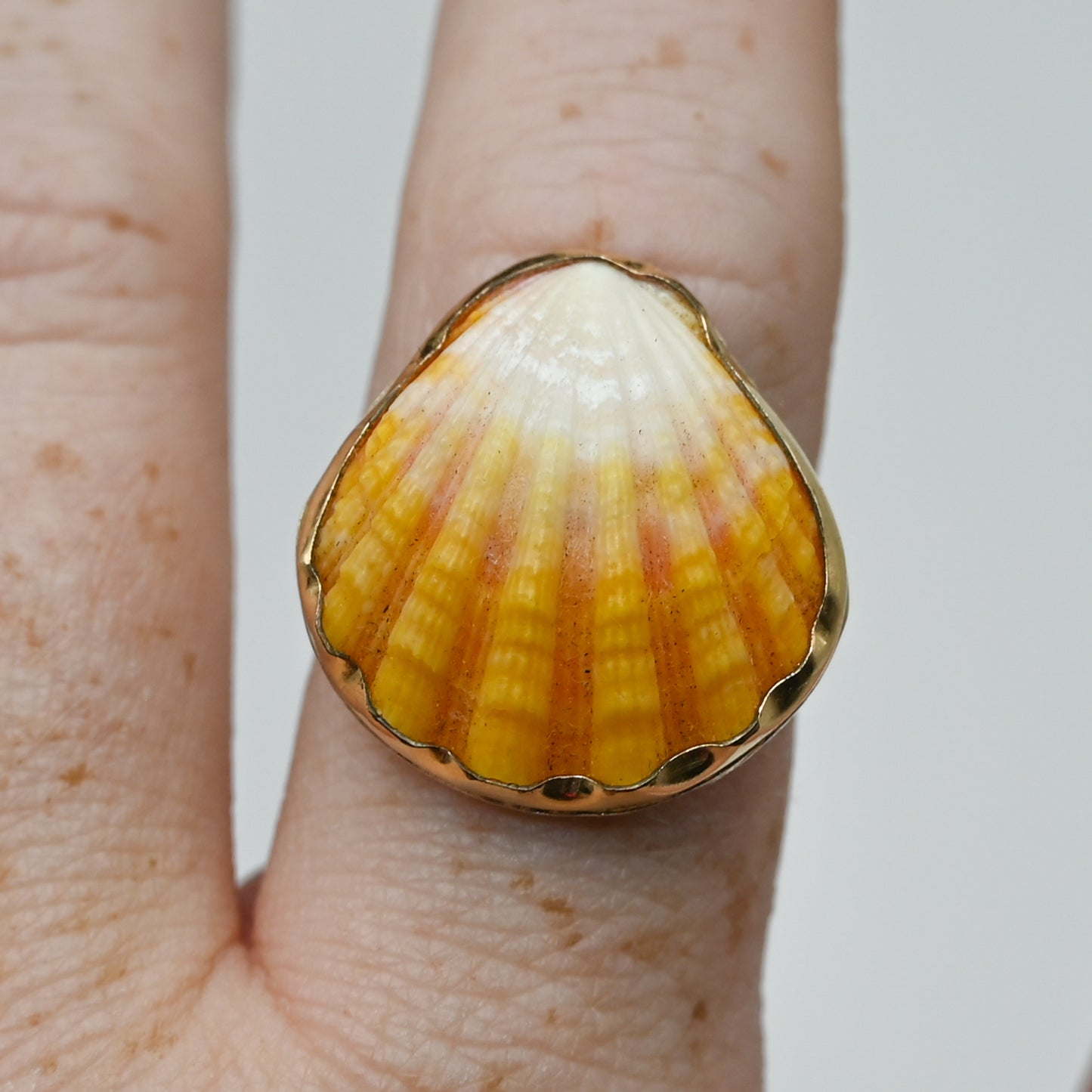 Gold fill Hawaiian Sunrise shell size 9