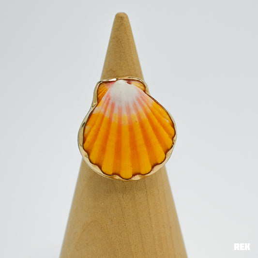 Gold fill Hawaiian sunrise shell size 8