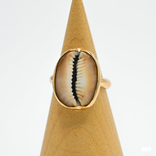 Gold fill cowrie slice size 8