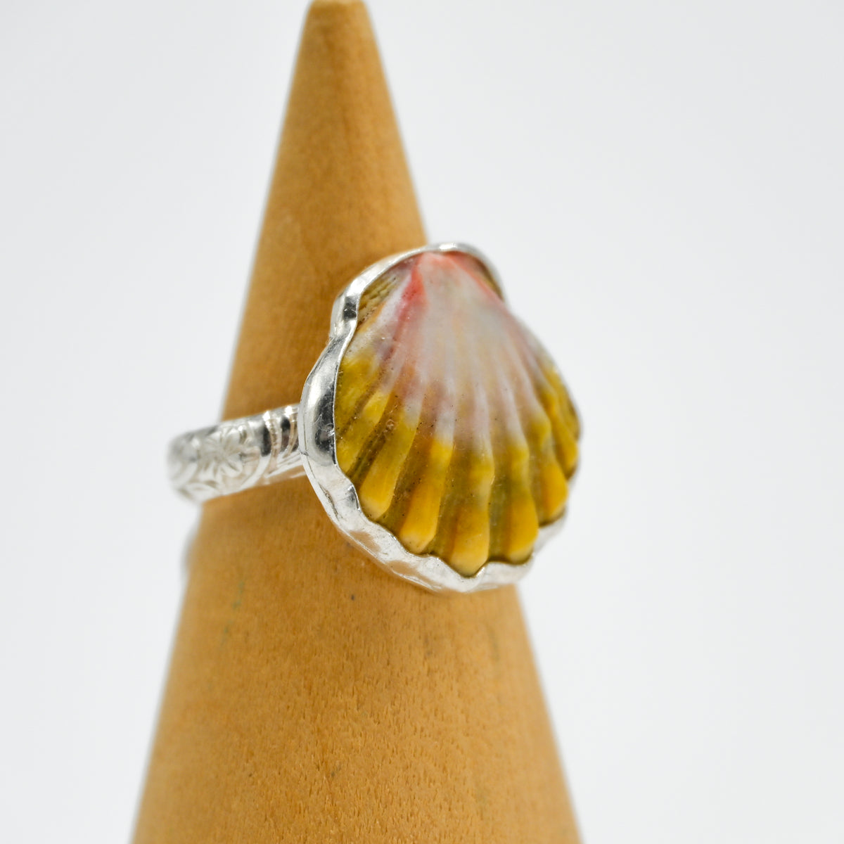 Hawaiian sunrise shell size 6.5
