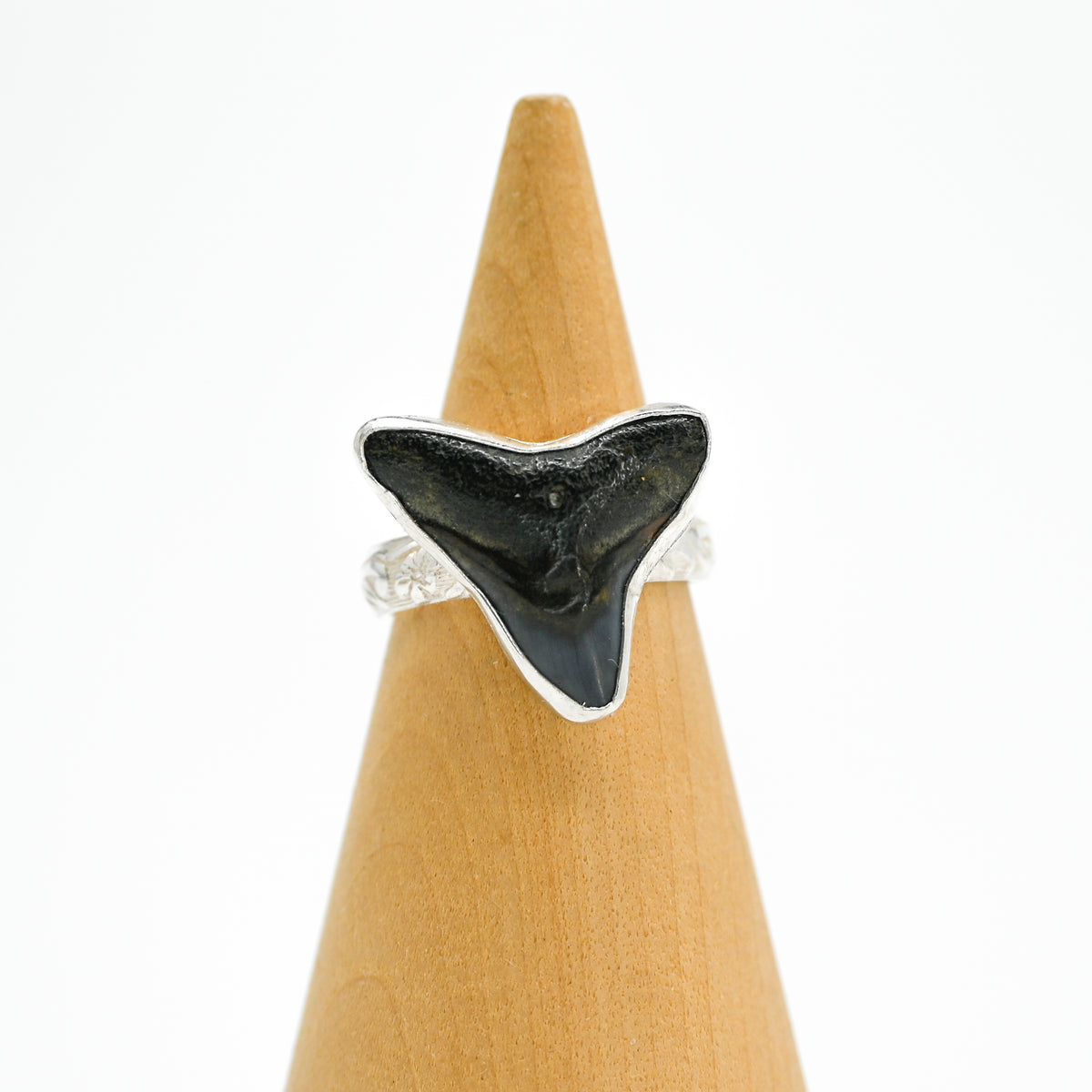 Fossilized shark tooth size 7