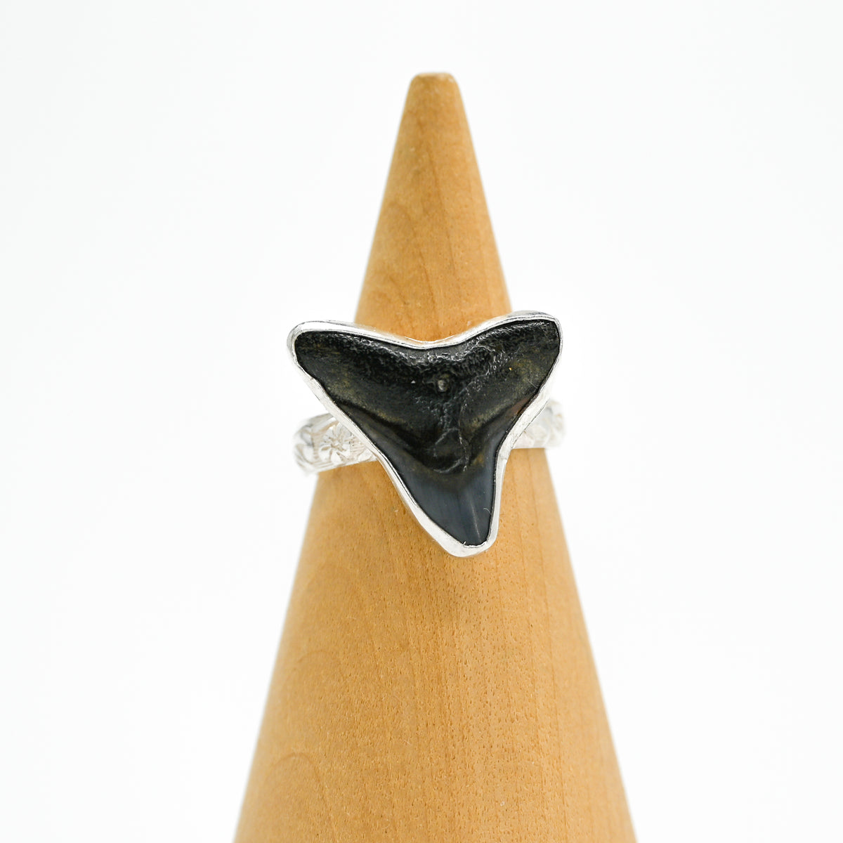 Fossilized shark tooth size 7