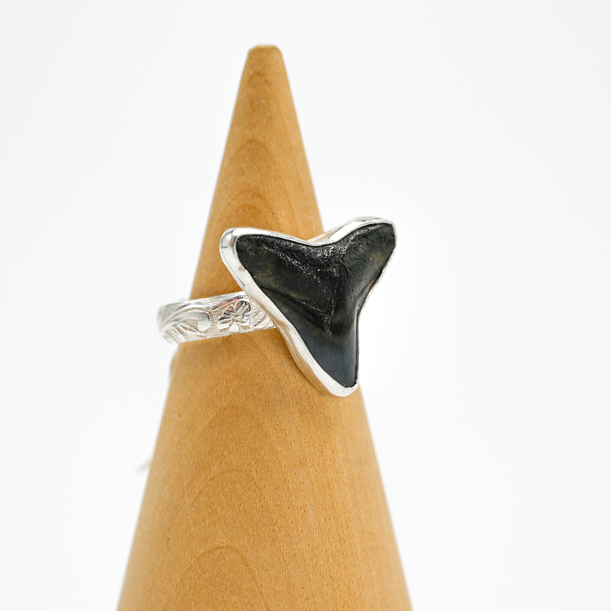 Fossilized shark tooth size 7