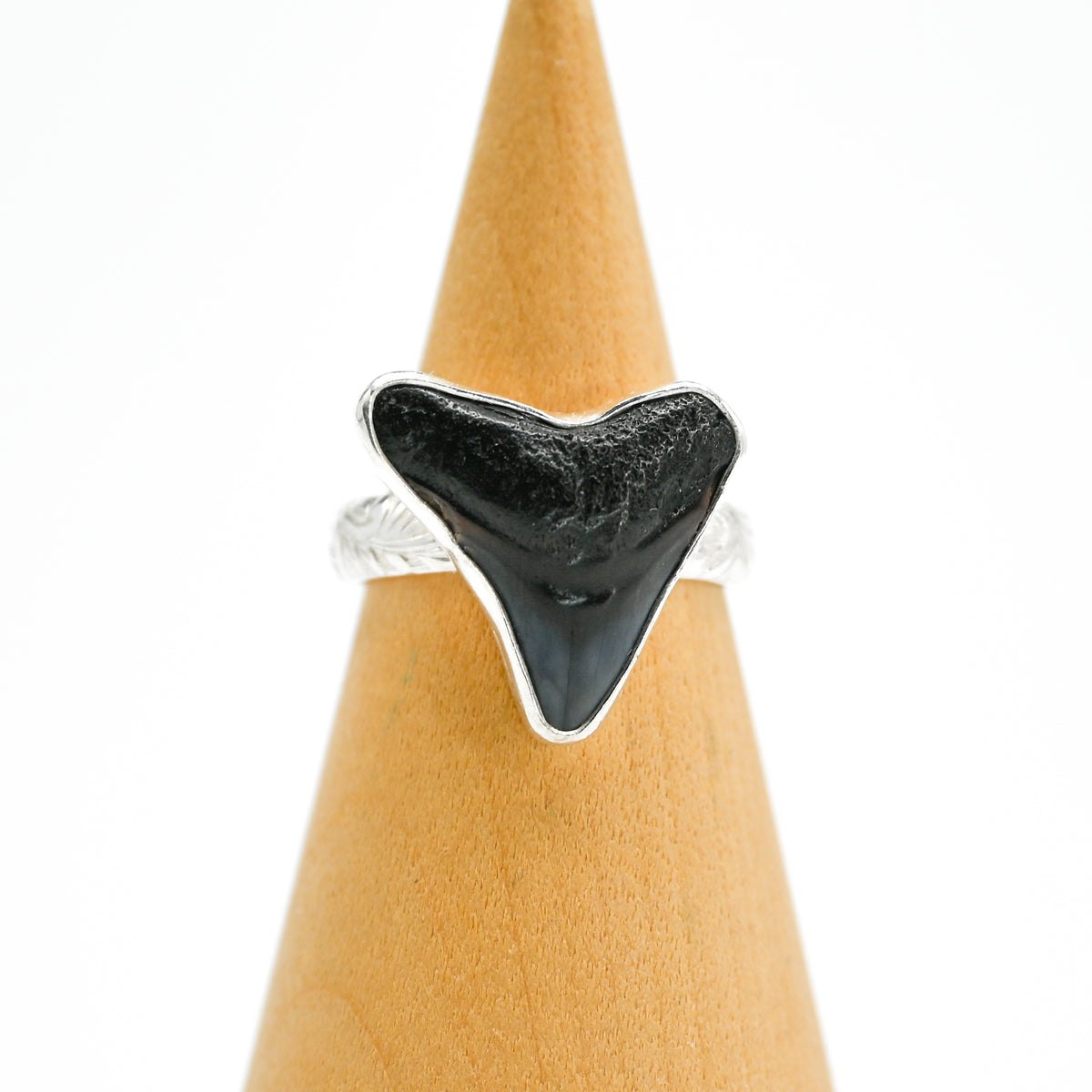 XL fossilized shark tooth size 8